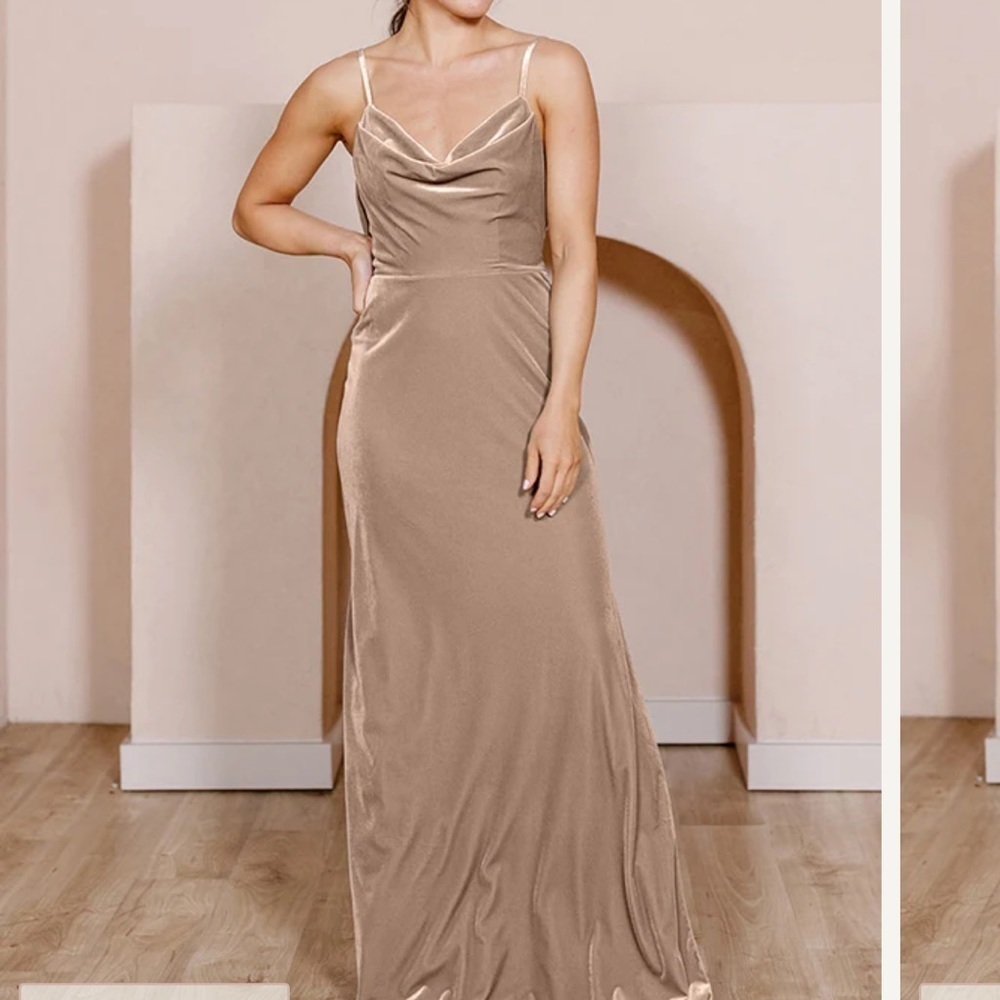 Revelry Nadia Velvet Dress in champagne size 4